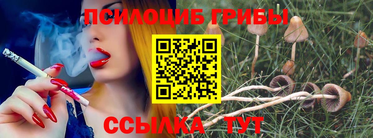 Псилоцибиновые грибы Cubensis  Вход с VPN  Изобильный 